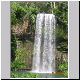 Atherton Tablelands - Millaa Millaa Falls.jpg